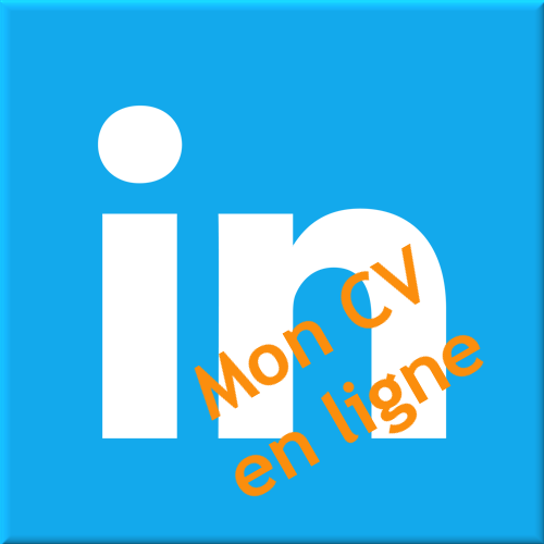 CV en ligne Barrielle LinkedIn