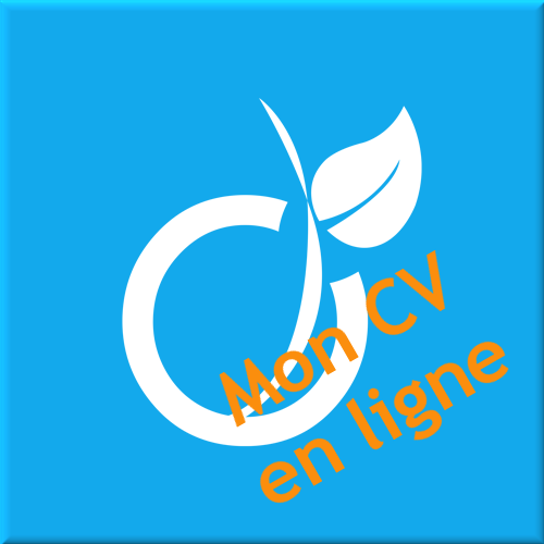 CV en ligne Barrielle Viadeo